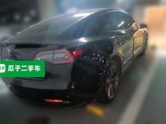 Tesla Model 3 Standard Range Edition 3D6 - photo 6
