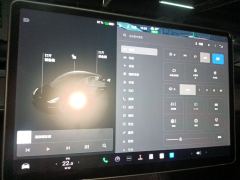 Tesla Model 3 Standard Range Edition 3D6 - photo 9