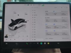 Tesla Model 3 675km Performance High-Performance AWD Version - фото 20