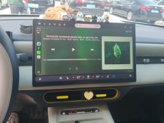 Chery QQ3EV 310 Edition - ფოტო 17