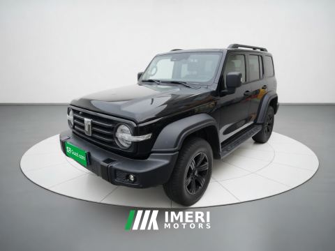 2023 Tank 300 Off-Road Edition 2.0T Challenger - ავტომობილი ჩინეთიდან