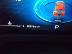 Tank 300 Off-Road Edition 2.0T Challenger - ფოტო 8
