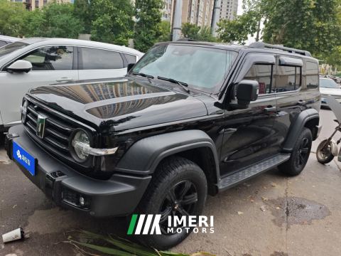 2021 Tank 300 Off-Road Edition 2.0T Conqueror - ავტომობილი ჩინეთიდან