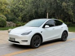 Tesla Model Y 554km Rear-Wheel Drive Edition - ფოტო 1
