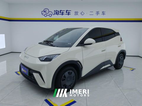 2025 BYD Seagull 305km Vitality Edition - car from China
