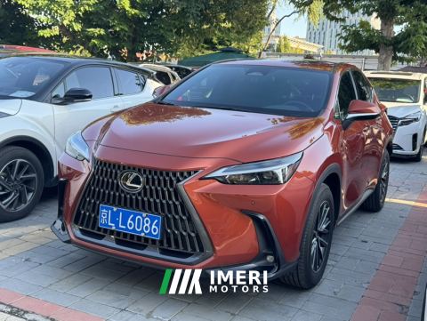 2022 Lexus NX 260 2WD Edition - ავტომობილი ჩინეთიდან