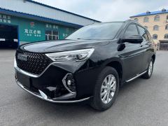 Haval M6 PLUS 1.5T Luxury Version - ფოტო 2