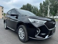 Haval M6 PLUS 1.5T Luxury Version - ფოტო 3