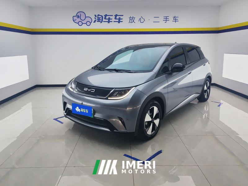 BYD Dolphin 420km Stylish Edition - ავტომობილი ჩინეთიდან