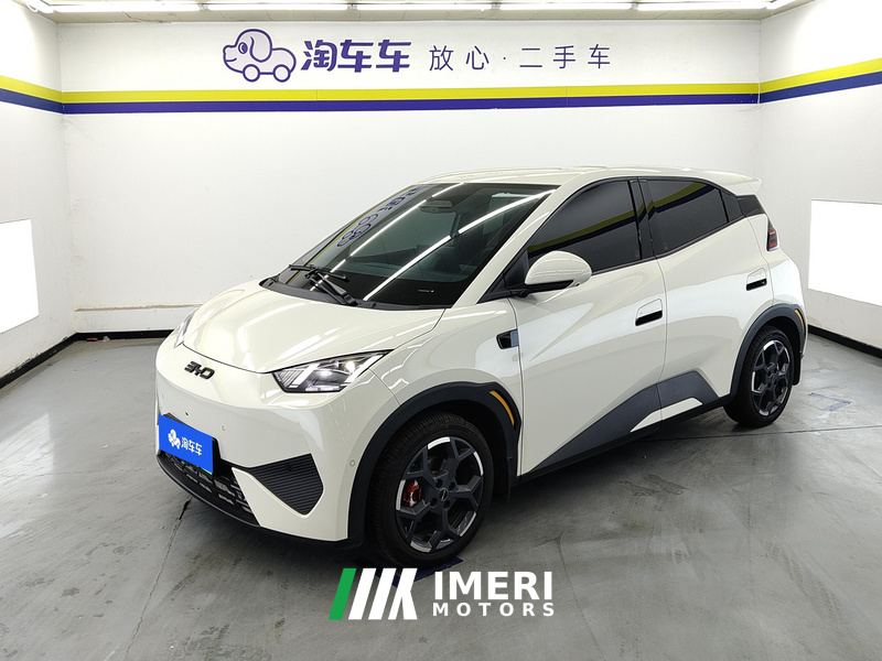 BYD Seagull Smart Driving Edition 305km Free Version - ავტომობილი ჩინეთიდან