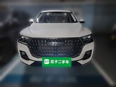 Haval H6 National Trend Edition 1.5T Automatic Champion Version - ფოტო 2