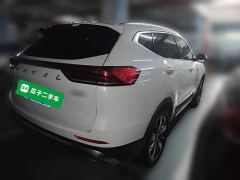 Haval H6 National Trend Edition 1.5T Automatic Champion Version - ფოტო 4