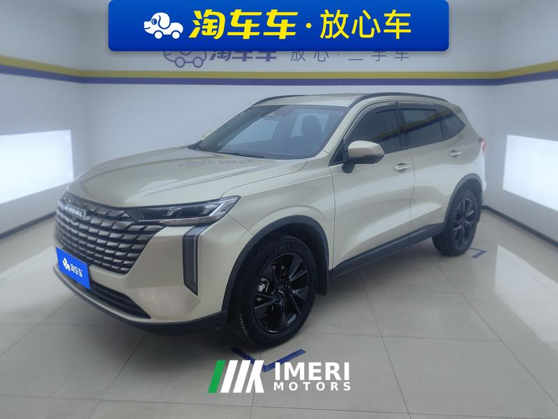 Haval H6 2.0T Two-Wheel Drive Max - car from China