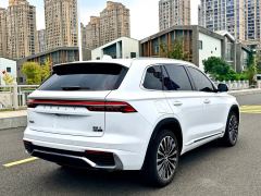 Geely Xingyue L Dongfang Yao 2.0T Automatic two-wheel drive Star Edition - фото 12