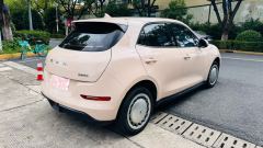 Ora Great Wall Good Cat 401km Version 126kW - ფოტო 4