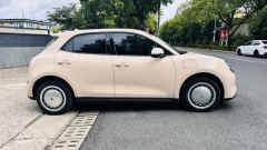 Ora Great Wall Good Cat 401km Version 126kW - ფოტო 7