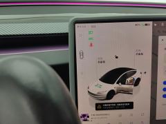 Tesla Model 3 606km Rear-Wheel Drive Edition - photo 19