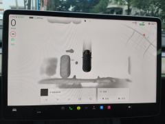 Tesla Model 3 556km Rear-Wheel Drive Edition - ფოტო 12