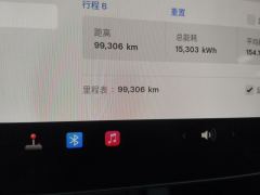 Tesla Model 3 556km Rear-Wheel Drive Edition - ფოტო 13