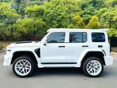 Tank 300 2.0T Conquistador Gasoline - фото 7