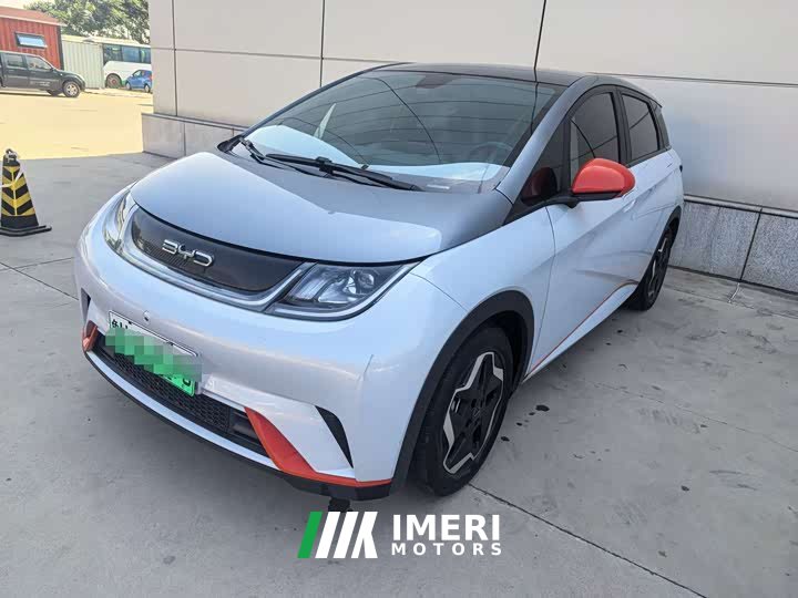 BYD Dolphin 2021 405km fashion version