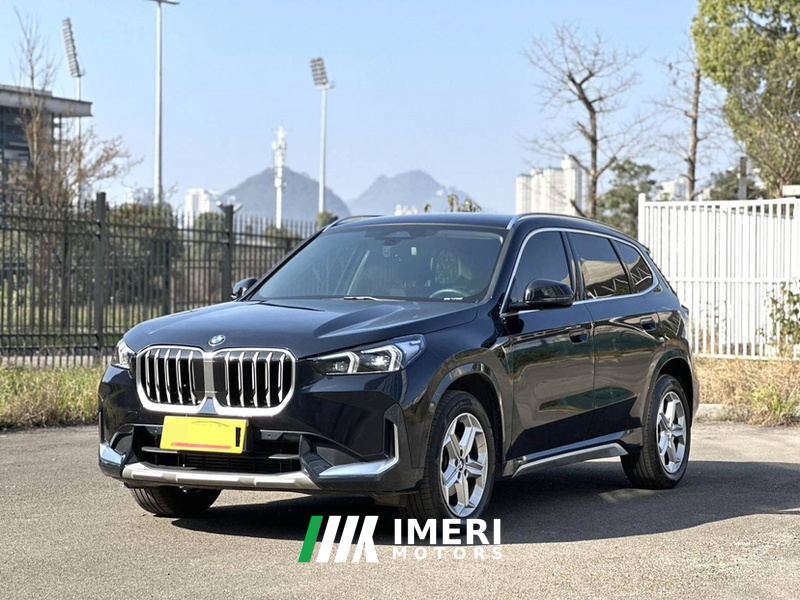 BMW X1 sDrive20Li X Design Package - car from China