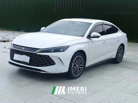 BYD Qin PLUS EV Champion Edition 610km Elite Edition