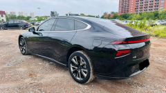 XPeng P7 P7i 702 Rear-wheel drive Pro - photo 6