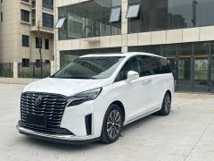 Buick GL8 652T Luxury Version 7 - photo 2