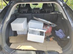 Toyota Wildlander 2.0L 2WD Leading Edition - ფოტო 7