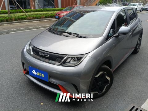 2021 BYD Dolphin 405km Free Version - ავტომობილი ჩინეთიდან