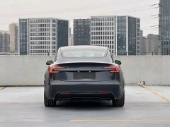 Tesla Model 3 606km Rear-Wheel Drive Edition - фото 10