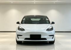 Tesla Model 3 556km Rear-Wheel Drive Edition - ფოტო 2
