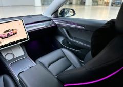 Tesla Model 3 556km Rear-Wheel Drive Edition - ფოტო 4