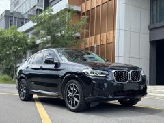 BMW X4 xDrive25i M Sport Package - ფოტო 3