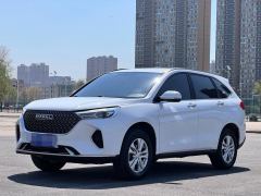 Haval M6 PLUS 1.5T Premium Version - ფოტო 1