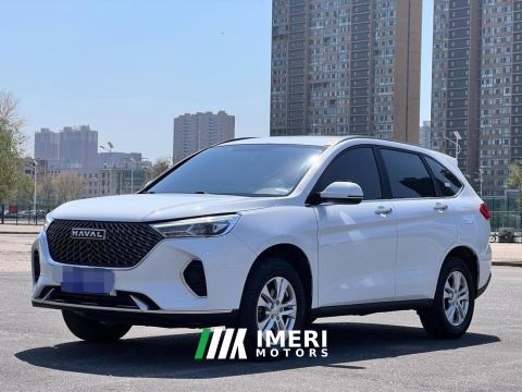 2023 Haval M6 PLUS 1.5T Premium Version - car from China