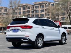 Haval M6 PLUS 1.5T Premium Version - ფოტო 9