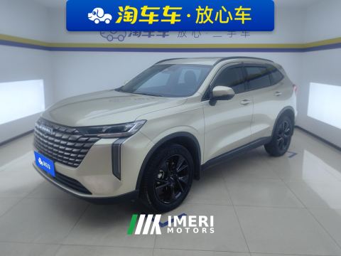 2024 Haval H6 2.0T Two-Wheel Drive Max - car from China