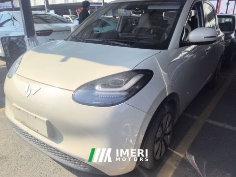 2023 Wuling Bingo Binguo 333km Joy Edition - car from China