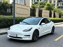 Tesla Model 3 Standard Range Edition - ფოტო 1