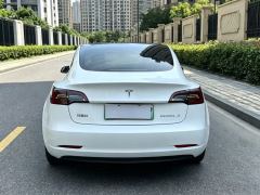 Tesla Model 3 Standard Range Edition - ფოტო 8