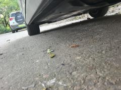Volkswagen Lavida 300TSI Edition - photo 11