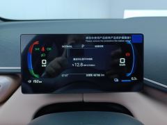 BYD Seagull Smart Driving Edition 305km Vitality Edition - photo 20