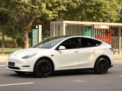 Tesla Model Y 688km Long Range AWD - ფოტო 1