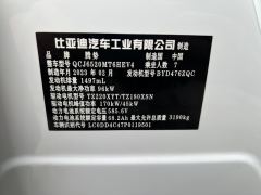 Denza D9 DM-i 970 4WD Flagship Edition - ფოტო 10