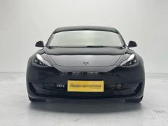 Tesla Model 3 556km Rear-Wheel Drive Edition - ფოტო 2