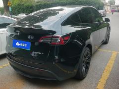 Tesla Model Y Standard endurance rear-wheel drive - фото 2