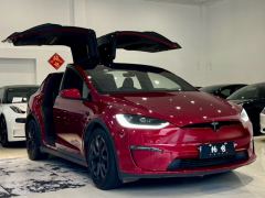 Tesla Model X 700km Dual Motor - фото 3