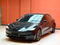 Tesla Model 3 606km Rear-Wheel Drive Edition - ფოტო 1